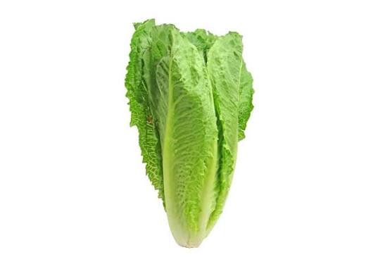 Vegetables ct