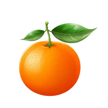 fruits ct
