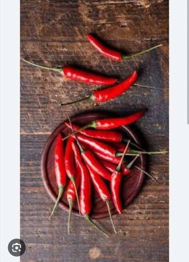 Spices ct